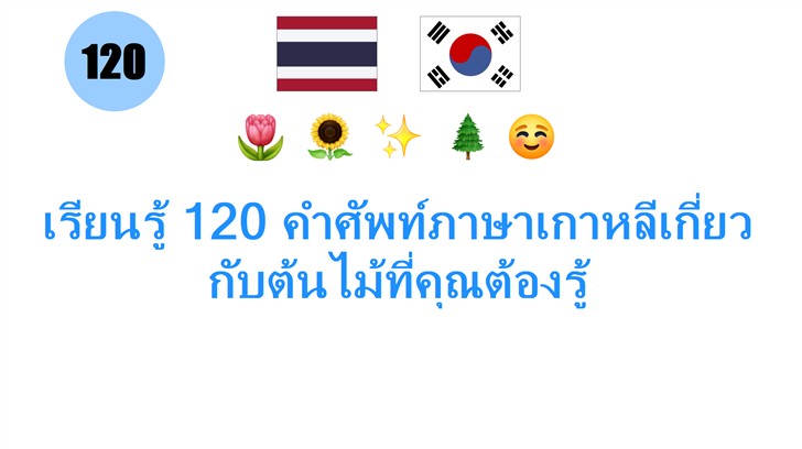 เรียนรู้ 120 คำศัพท์ภาษาเกาหลีเกี่ยวกับต้นไม้ที่คุณต้องรู้